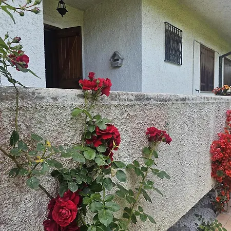 Bed & Breakfast Sofia 3*