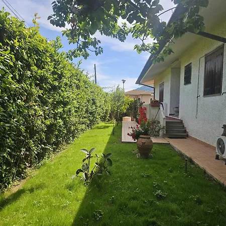Sofia Bed & Breakfast